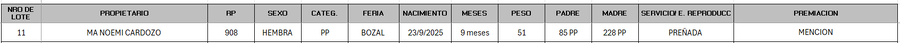 Lote LOTE 11 - BOZAL