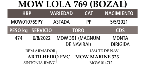 Lote LOTE 30 A BOZAL
