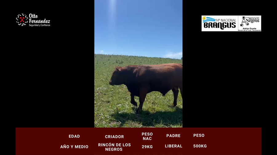 Lote Rincon de Los Negros