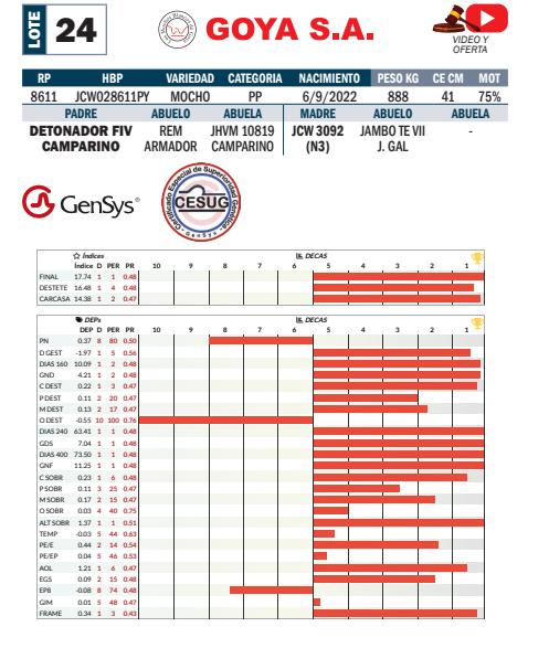 Lote LOTE 24- POR PANTALLA