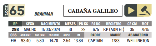 Lote LOTE 65