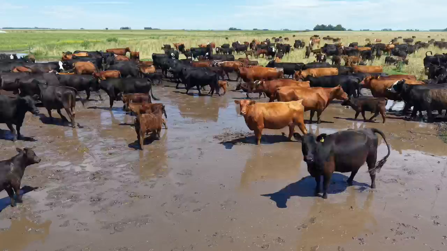 Lote 350 AL CTE MEDIO USO