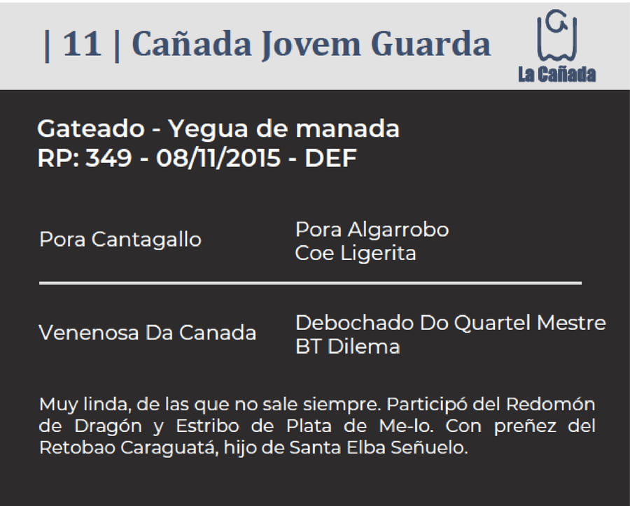 Lote Cañada Jovem Guarda (RP 349) Cabaña "La Cañada"