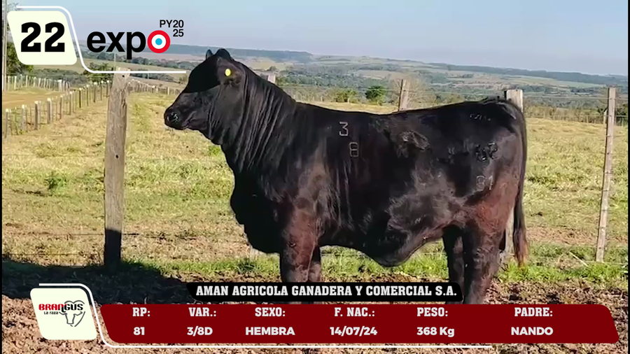 Lote LOTE 22