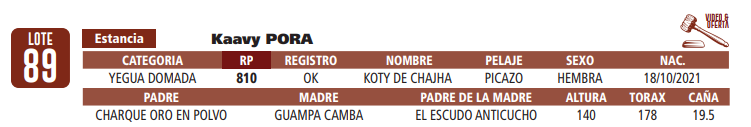 Lote LOTE 89