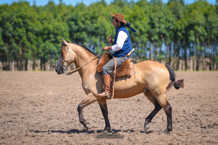 Lote RP 37- Escombro