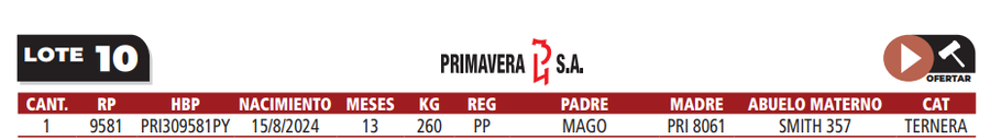 Lote LOTE 10