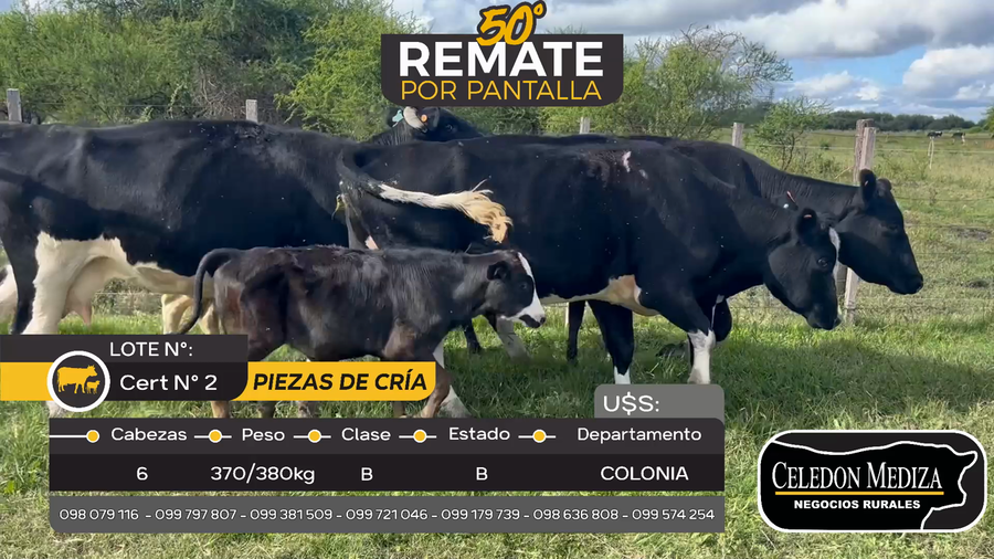 Lote 6 Piezas de cría en Nueva Palmira, Colonia