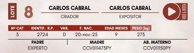 Lote LOTE 8 - TERNERAS DE CORRAL