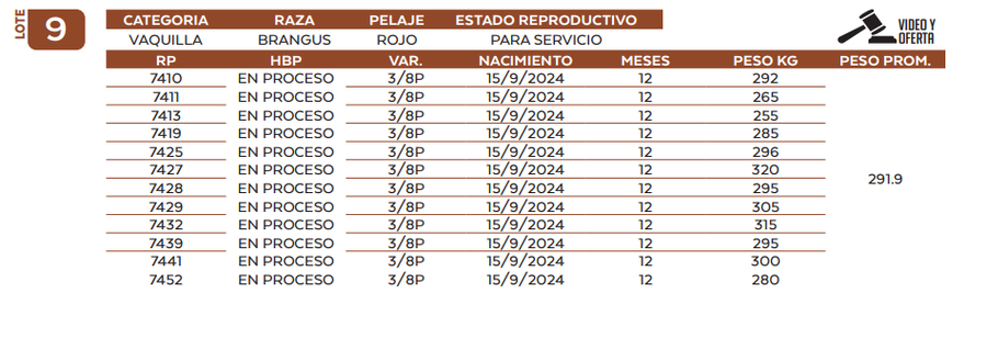 Lote LOTE 9