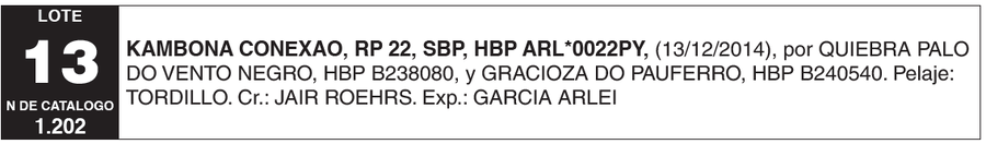 Lote LOTE 13