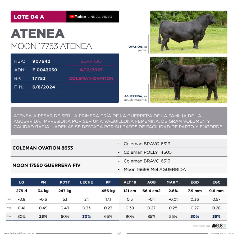 Lote RP 17753 Y 17759 - VAQUILLONAS PP ELITE VENTA DE UNA ELECCION