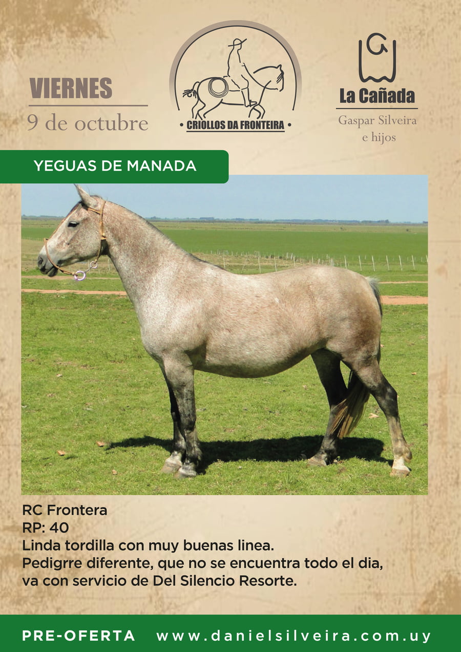 Lote Criollos da Fronteira La Cañada RC Frontera RP: 40