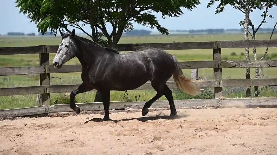 Lote CAÑADA  MALVINA