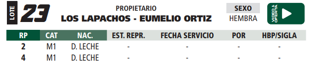 Lote LOTE 23
