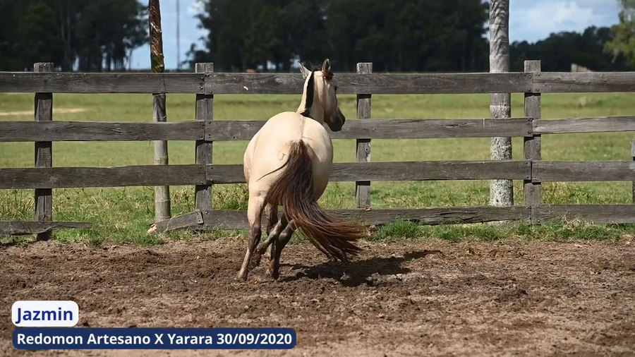 Lote Jazmin