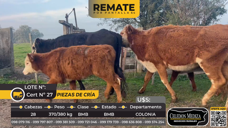 Lote 28 Piezas de cría en Tarariras, Colonia