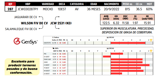 Lote LOTE 18