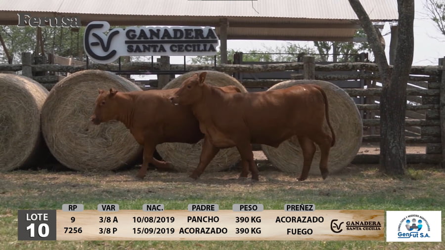 Lote Ganadera Santa Cecilia - Lote 10