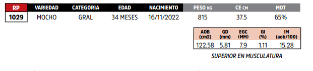 Lote LOTE 90