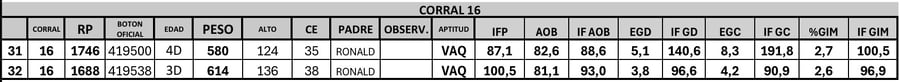 Lote 2 Toros PC