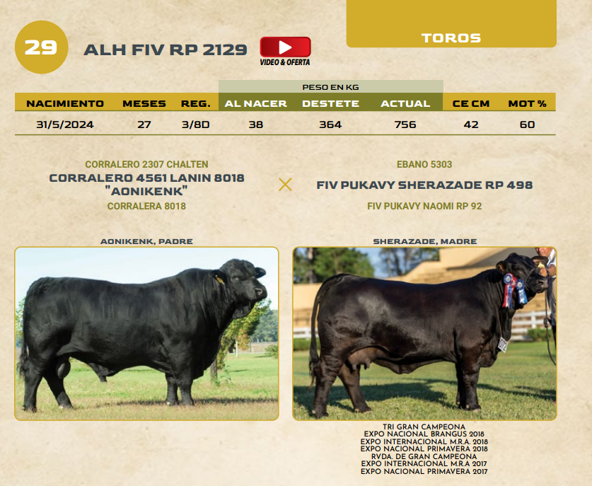 Lote LOTE 29