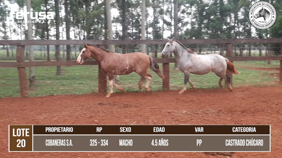 Lote LOTE 20 DE CAMPO