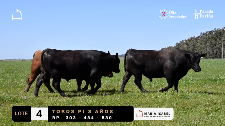 Lote LOTE 4