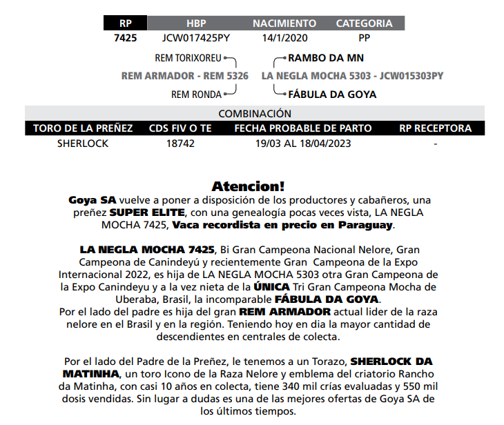 Lote LOTE PREÑEZ ELITE