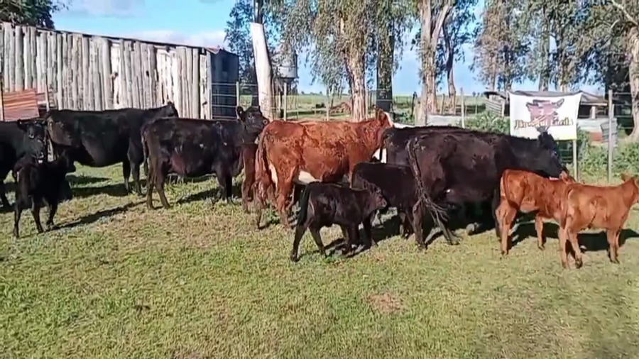 Lote 80 AL CTE (CUT)