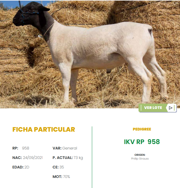 Lote LOTE 5