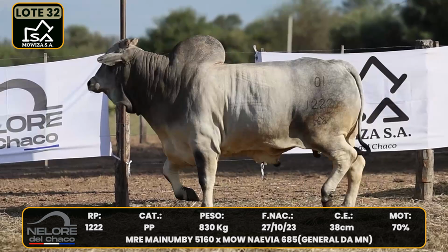 Lote LOTE 32