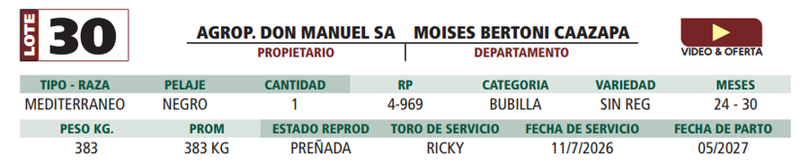 Lote LOTE 30