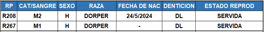 Lote LOTE 29