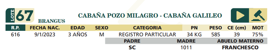 Lote LOTE 67