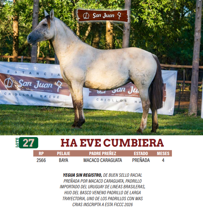 Lote LOTE 27