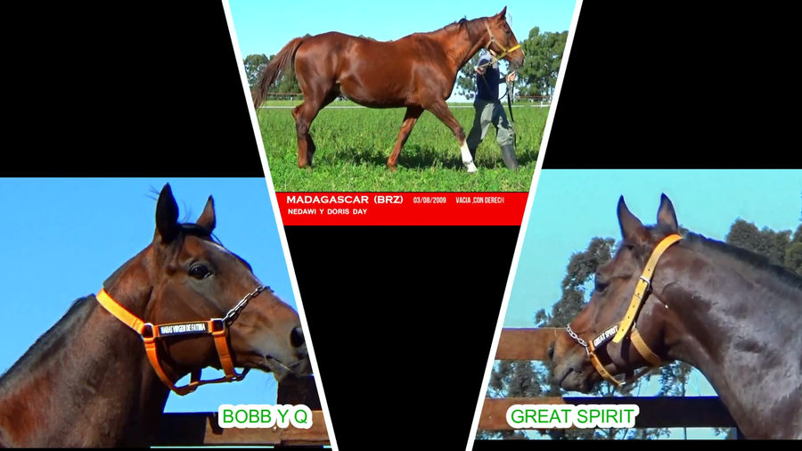 Lote MADAGASCAR (BRZ)