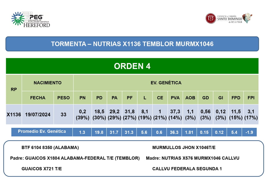 Lote Terneras PP