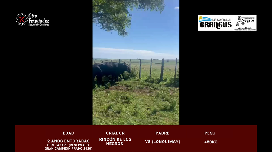 Lote Rincon de Los Negros