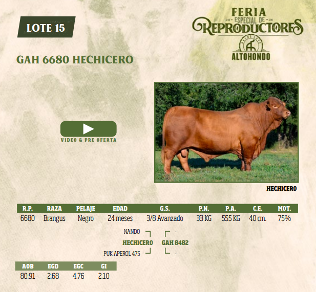 Lote LOTE 15