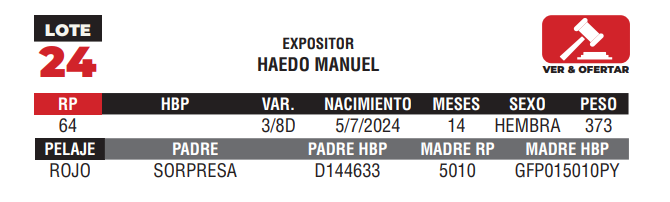 Lote LOTE 24 - JUNIOR