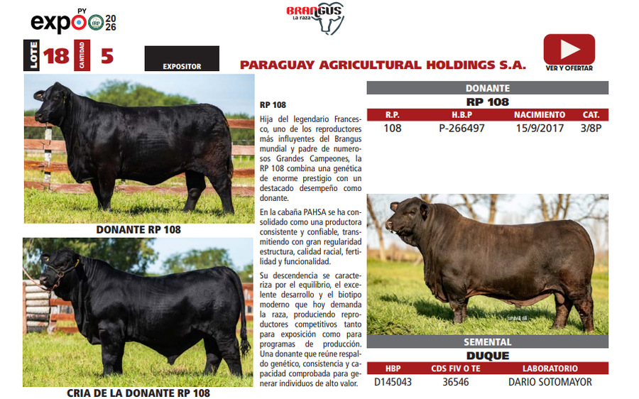 Lote LOTE 18