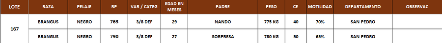 Lote LOTE 167