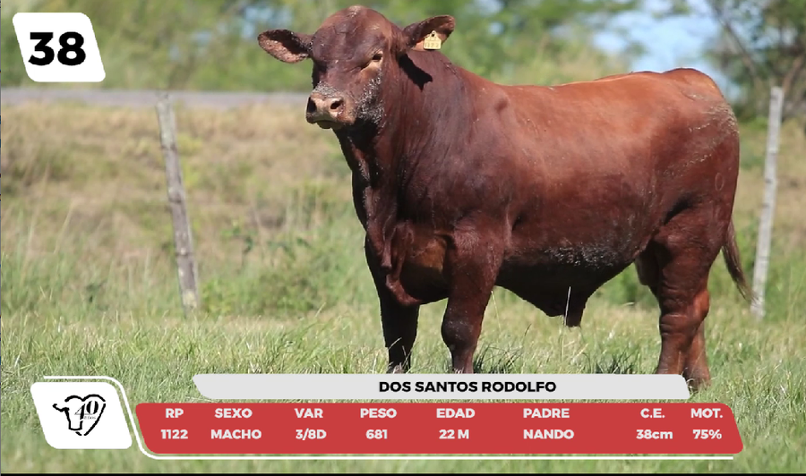 Lote LOTE 38-DE CAMPO