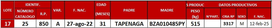 Lote LOTE 17
