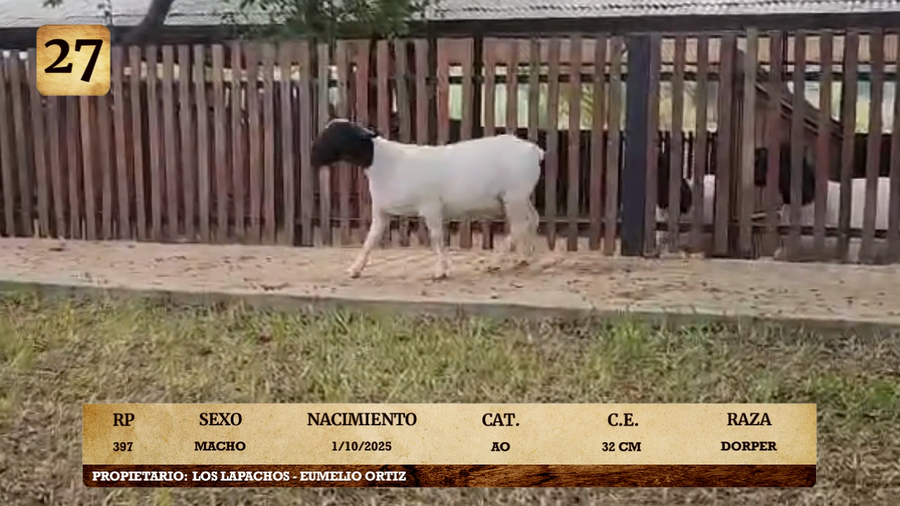 Lote LOTE 27