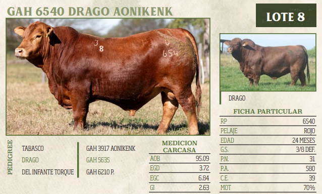 Lote LOTE 8