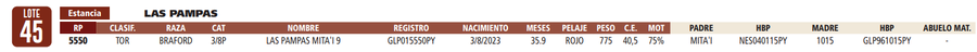 Lote LOTE 45