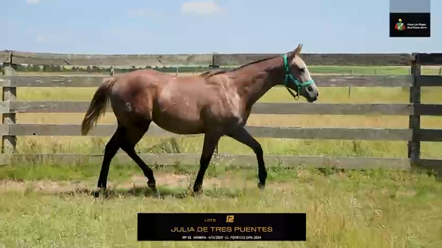 Lote JULIA DE TRES PUENTES