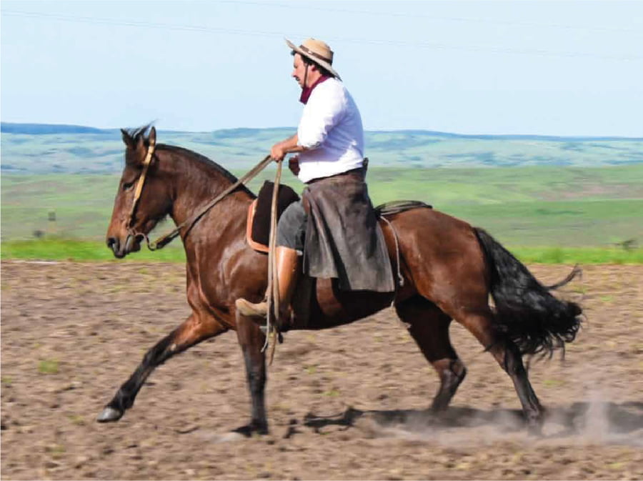 Lote El Gavilán Miss Bolivia (RP 418) "Cañada El Gavilán"